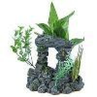 Aquaculture, Aquarium & Accessories