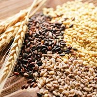 Food Grains & Cereals