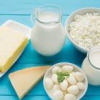 Dairy & Milk Products