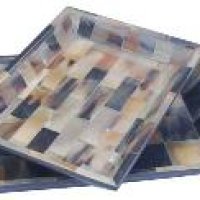 Horn Trays