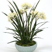 White Bowl