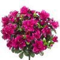 Artificial Plants & Flowers