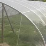 Polyethylene 40 Mesh Insect Net