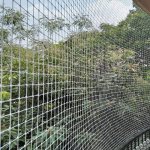 Plain PVC Anti Bird Net, Shape : Rectangular