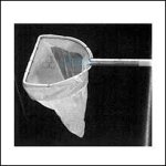 Aquatic Net