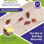 Bed Bug Control Services
