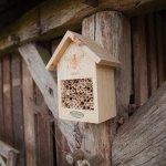 Bee Hut for Beekeeping