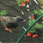 Green Plastic Birds Safety Net, Feature : High Strength
