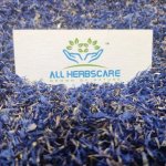 Dried Blue Cornflowers, Form : Dry Petals