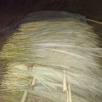 Broomstick, For Cleaning, Feature : Premium Quality