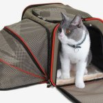Velvet Printed Cat House, Color : Black