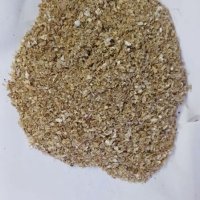 Ground Nut Cattle Feed Raw Material