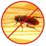 Cockroach Control Services,  Payment Mode : Online / Offline