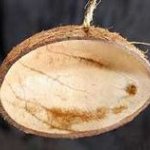 Organic Material Manual Coconut Shell Bird Feeder, Color : Brown