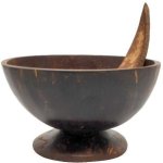 Coconut Shell Ice Cream Cup, Capacity : 100ml, 200ml, 250ml