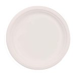 Disposable Crockery