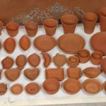 Disposable Terracotta Crockery