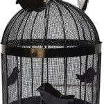 Phoenix Metal Fruit Baskets, Color : Black
