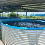 Galvanized Steel Fish Tanks, Color : Silver