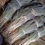 Grass Broom, For Cleaning, Feature : Premium Quality
