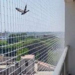 HDPE Bird Net For Insect Protection