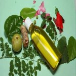 Herbs Ayurvedic Hair Growth Oil, Packaging Size : 200ml