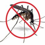 Industrial Mosquito Control Services
