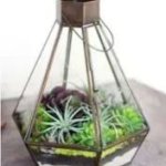 Metal and Glass Terrarium for Decoration