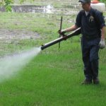 Mosquito Control Treatment Service