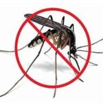 Mosquito Pest Control Services