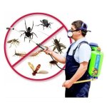 pest control services