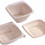 PET Lid Square Bagasse Bowl for Food Serving