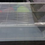 Zoom Polypropylene Rabbit Cage, Color : Transparent