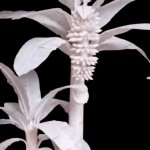Hand Made Sola Banana Tree Decoration, Mall, Party Multisizes