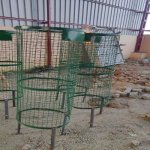 Round Polished Steel Tree Guard, Color : Green